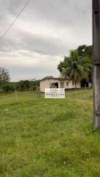 Fazenda à venda de 5.740 ha em Formoso do Araguaia, TO, Brasil