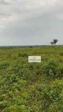 Fazenda à venda de 5.740 ha em Formoso do Araguaia, TO, Brasil