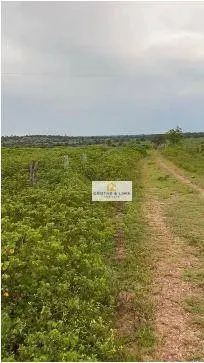 Fazenda à venda de 5.740 ha em Formoso do Araguaia, TO, Brasil