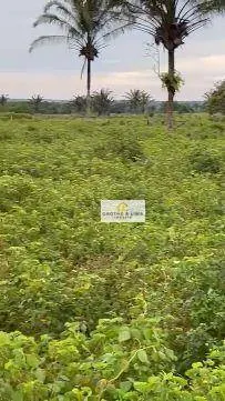 Fazenda à venda de 5.740 ha em Formoso do Araguaia, TO, Brasil