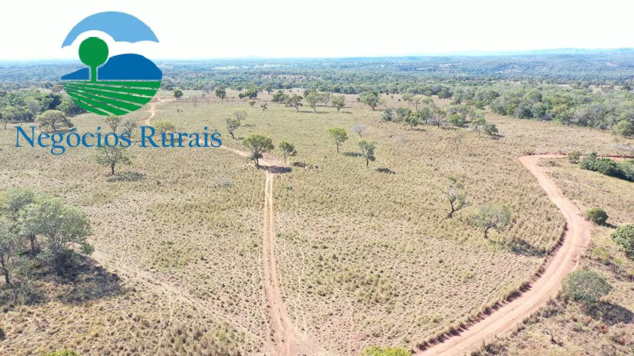 Fazenda à venda de 493 ha em Montividiu do Norte, GO, Brasil