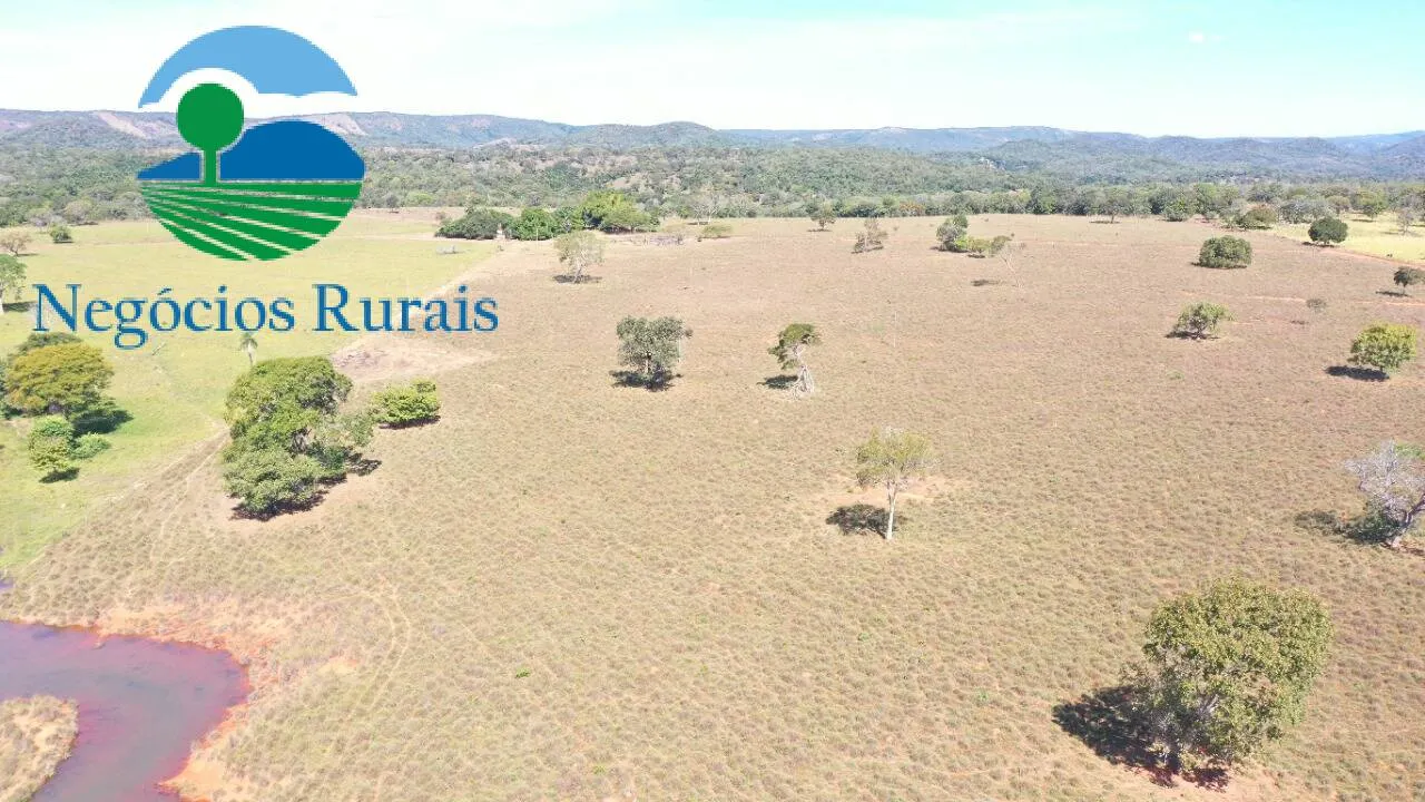 Fazenda à venda de 493 ha em Montividiu do Norte, GO, Brasil