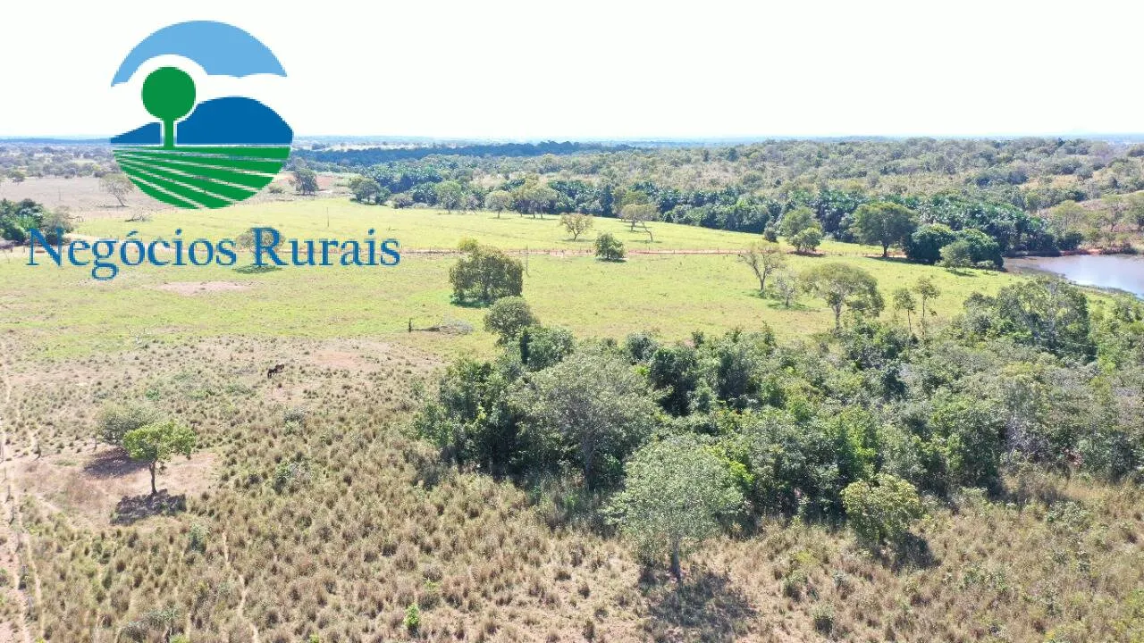 Fazenda à venda de 493 ha em Montividiu do Norte, GO, Brasil
