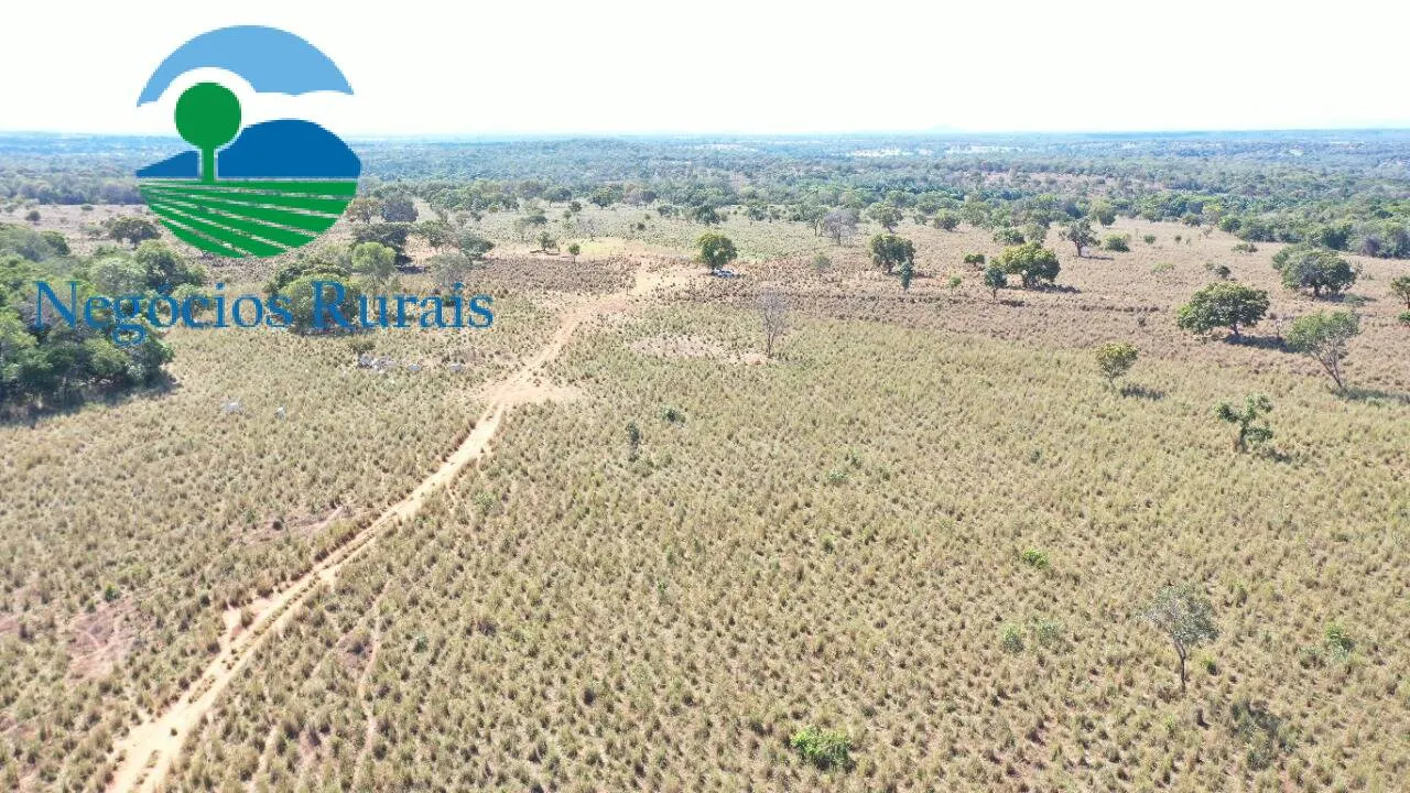 Fazenda à venda de 493 ha em Montividiu do Norte, GO, Brasil