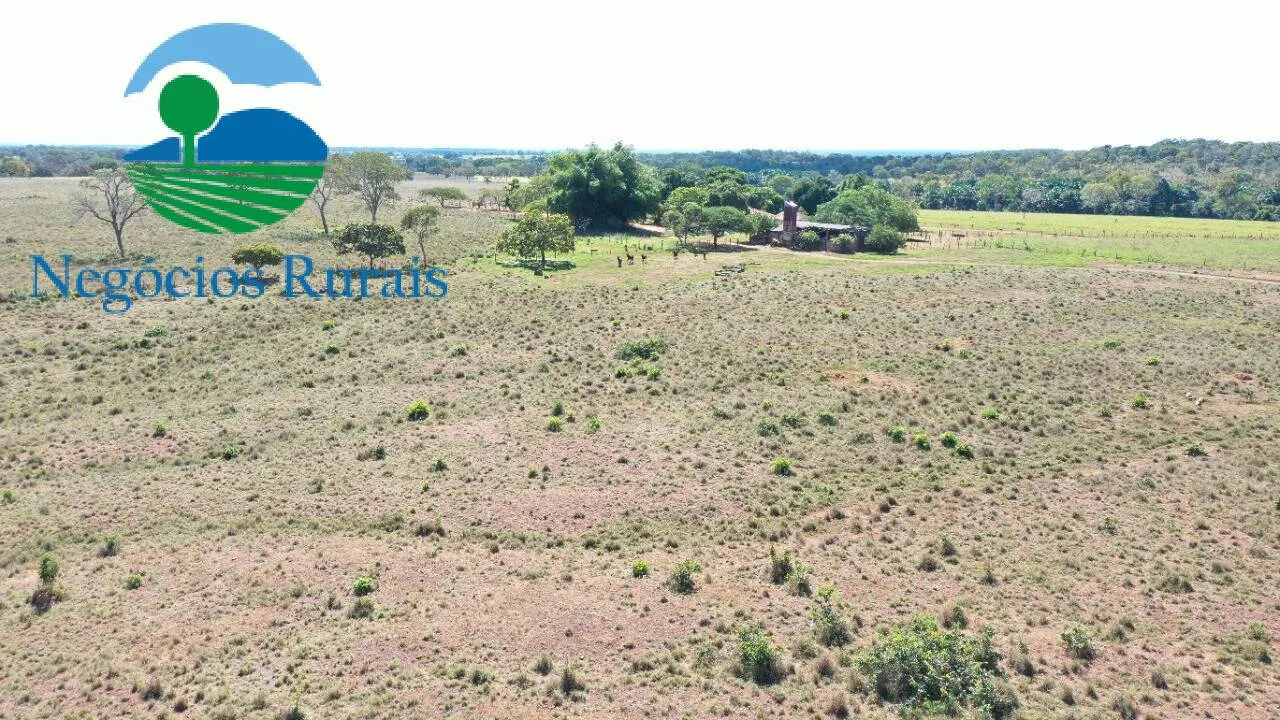 Fazenda à venda de 493 ha em Montividiu do Norte, GO, Brasil