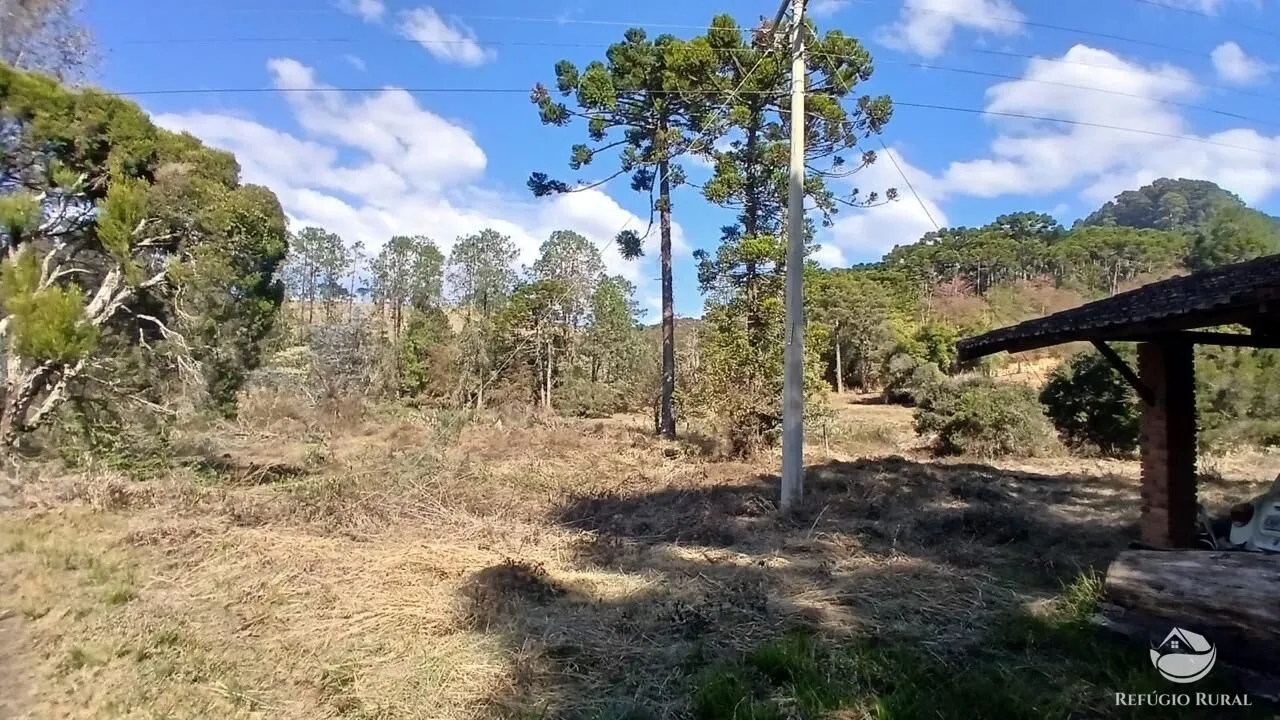 Terreno à venda de 1 ha em Gonçalves, MG, Brasil