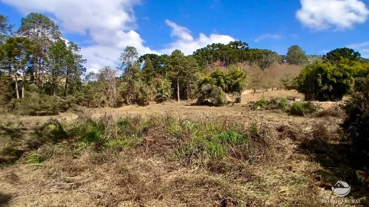 Terreno à venda de 1 ha em Gonçalves, MG, Brasil