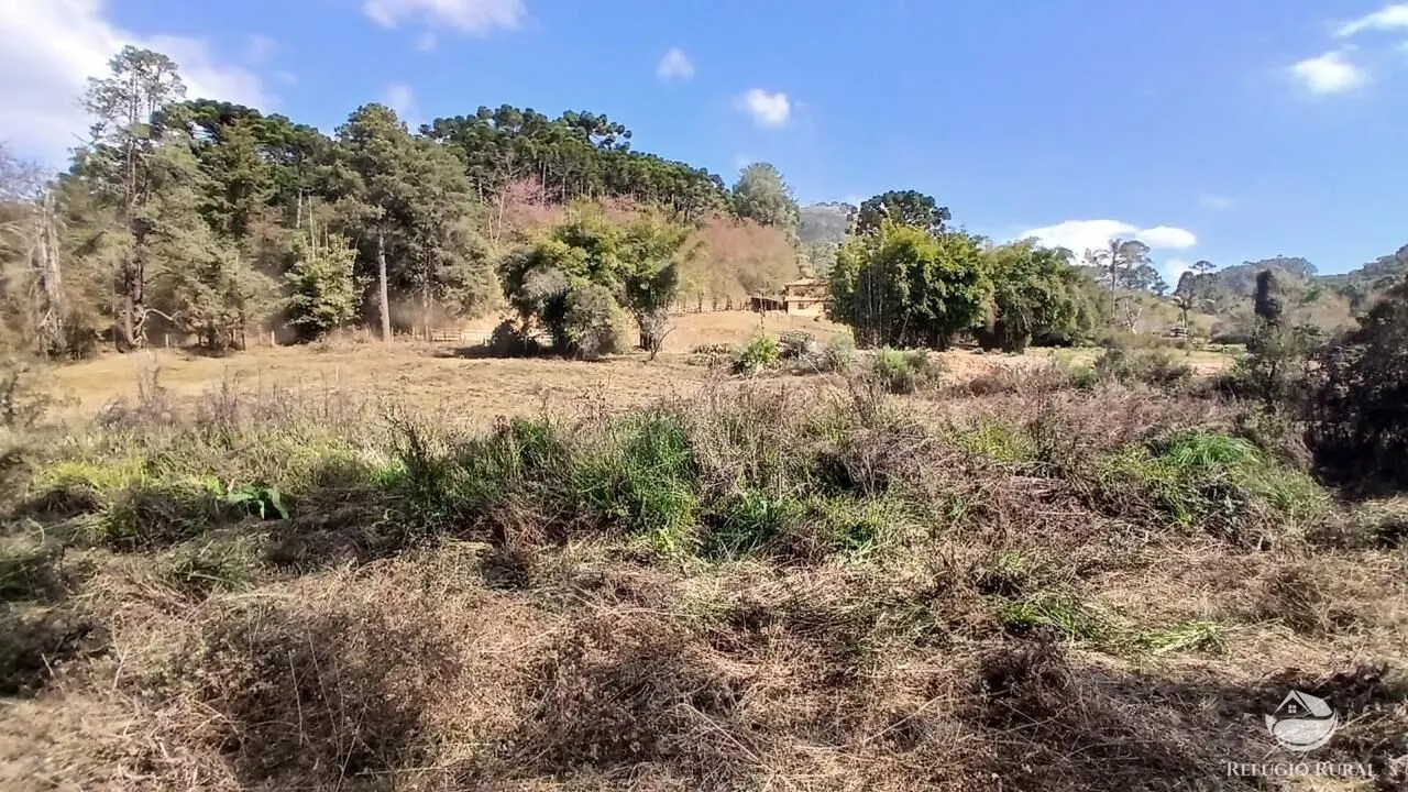Terreno à venda de 1 ha em Gonçalves, MG, Brasil