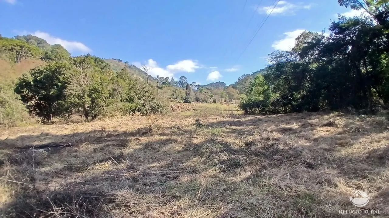 Terreno à venda de 1 ha em Gonçalves, MG, Brasil