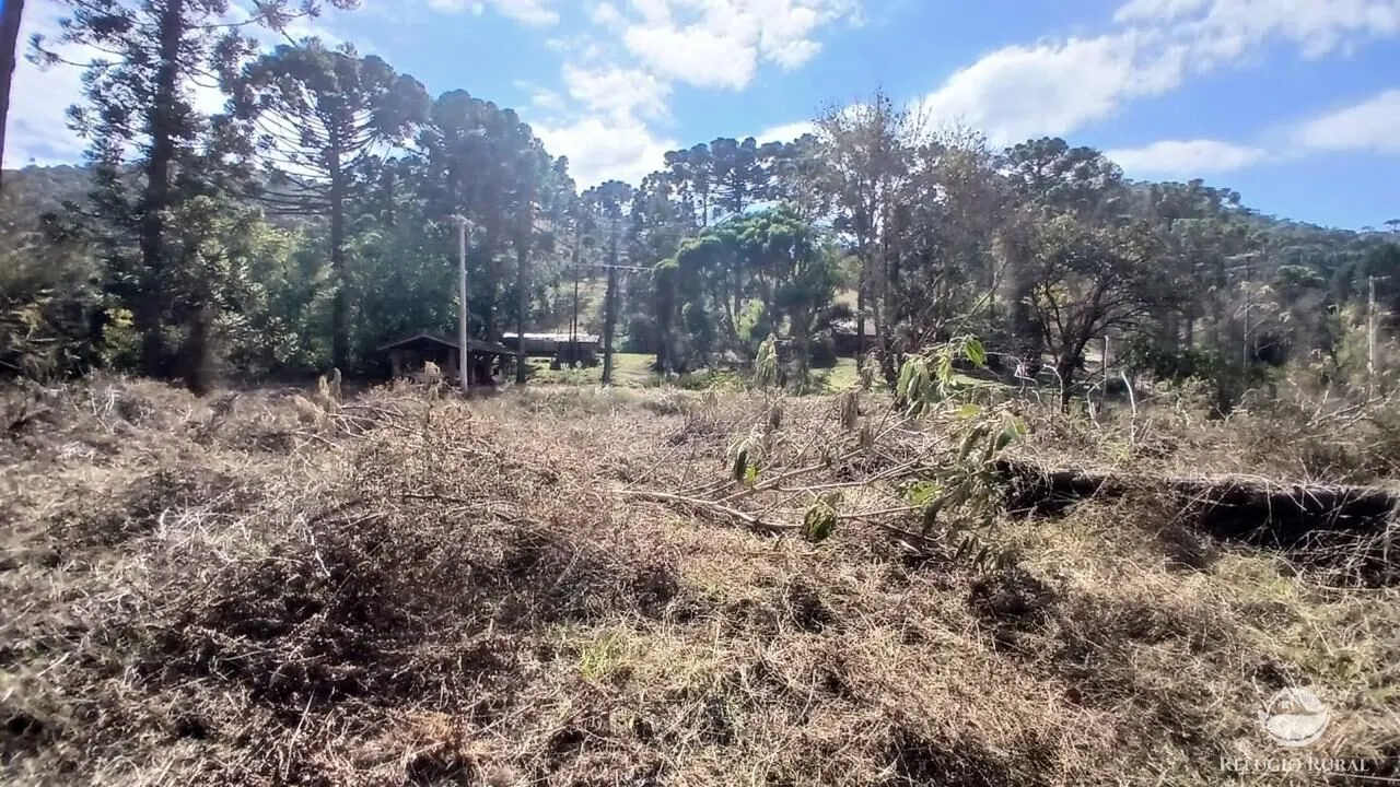 Terreno à venda de 1 ha em Gonçalves, MG, Brasil