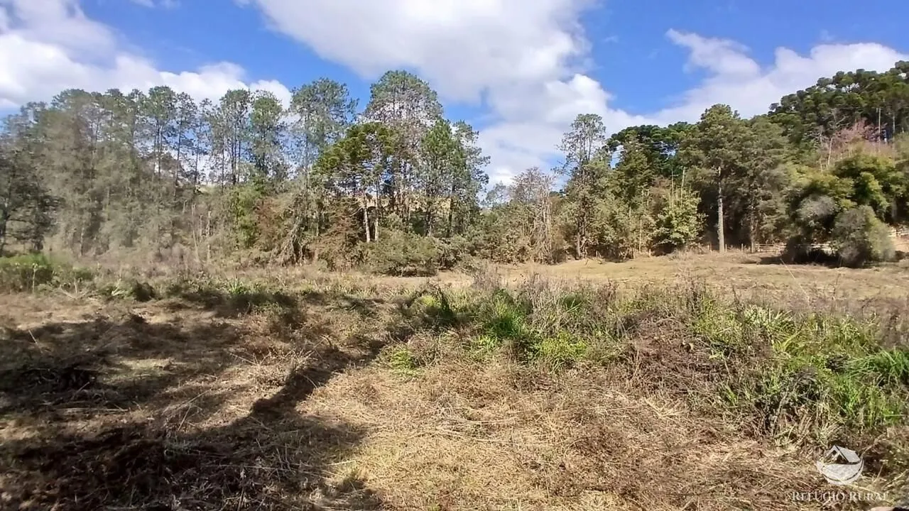 Terreno à venda de 1 ha em Gonçalves, MG, Brasil