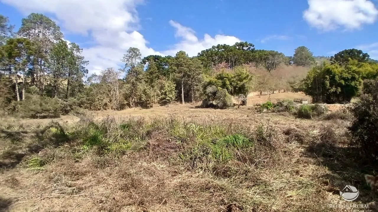 Terreno à venda de 1 ha em Gonçalves, MG, Brasil