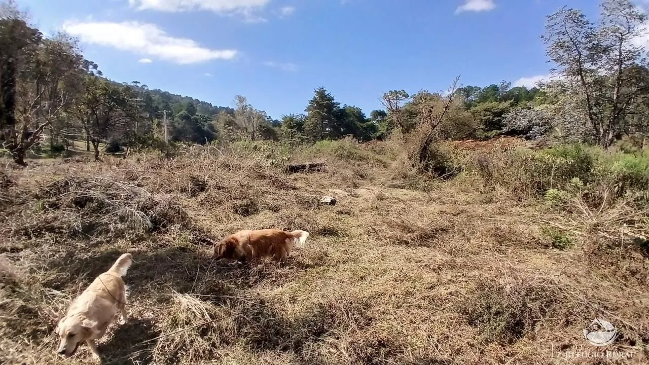 Terreno à venda de 1 ha em Gonçalves, MG, Brasil