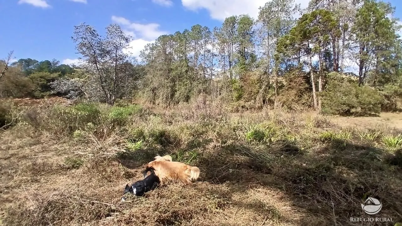 Terreno à venda de 1 ha em Gonçalves, MG, Brasil