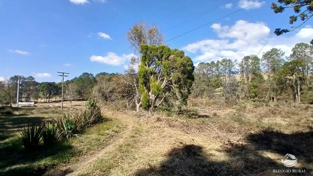 Terreno à venda de 1 ha em Gonçalves, MG, Brasil