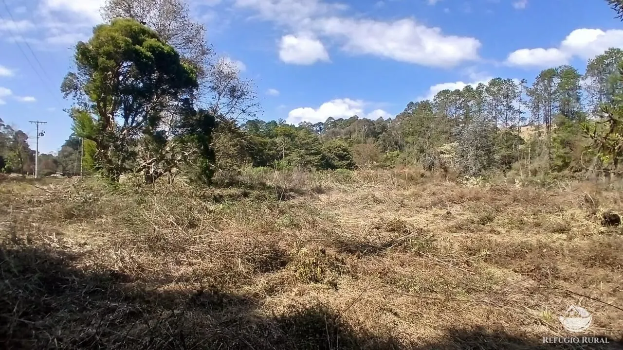 Terreno à venda de 1 ha em Gonçalves, MG, Brasil