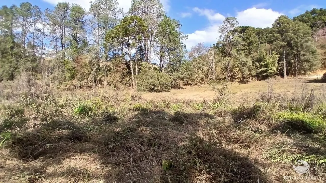 Terreno à venda de 1 ha em Gonçalves, MG, Brasil