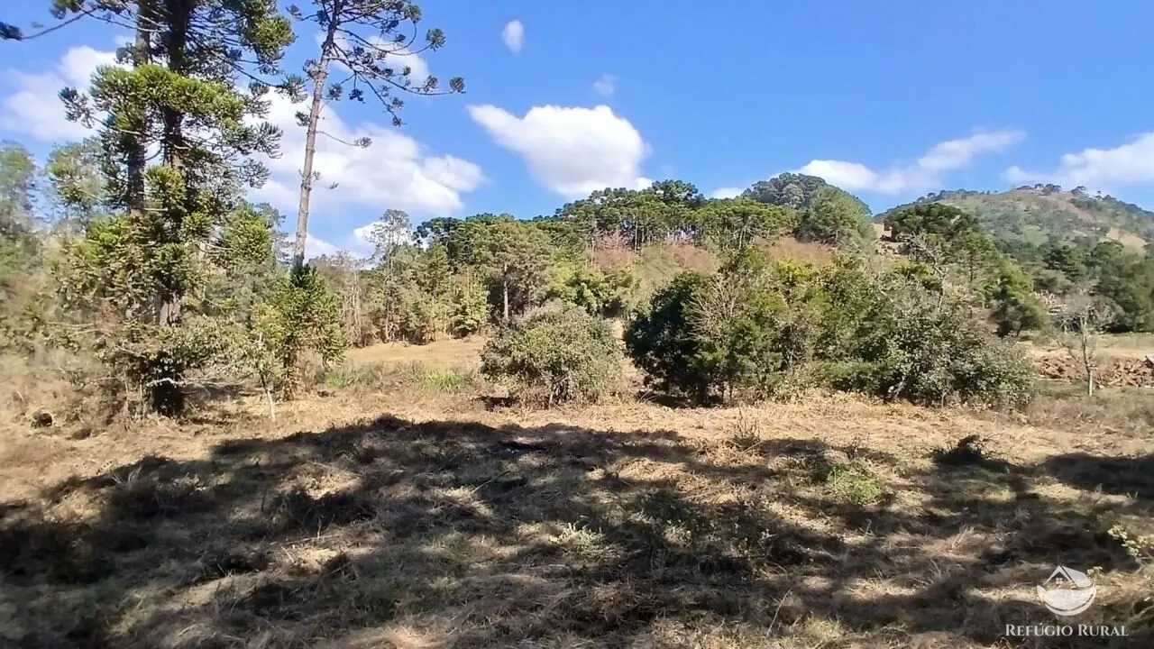 Terreno à venda de 1 ha em Gonçalves, MG, Brasil