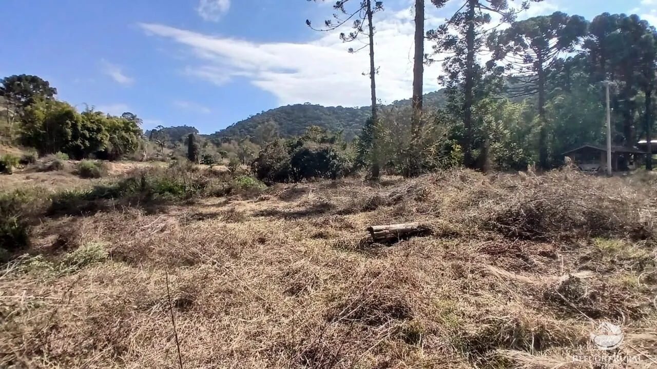 Terreno à venda de 1 ha em Gonçalves, MG, Brasil