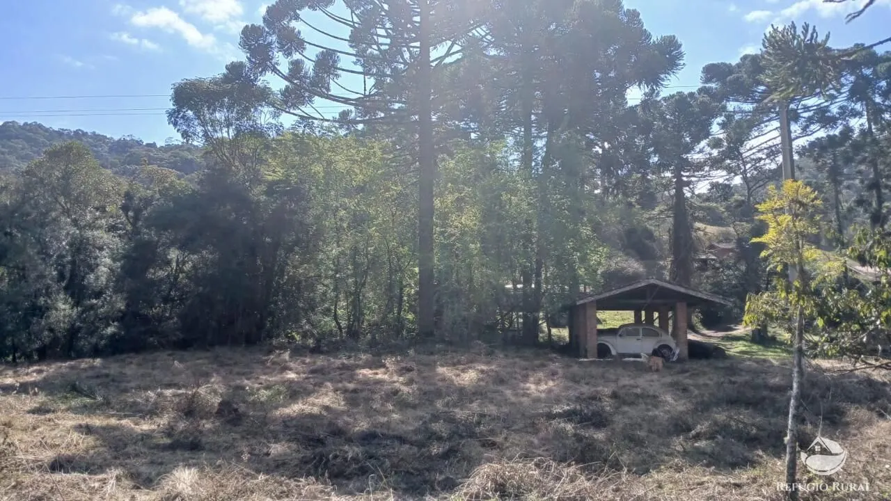 Terreno à venda de 1 ha em Gonçalves, MG, Brasil