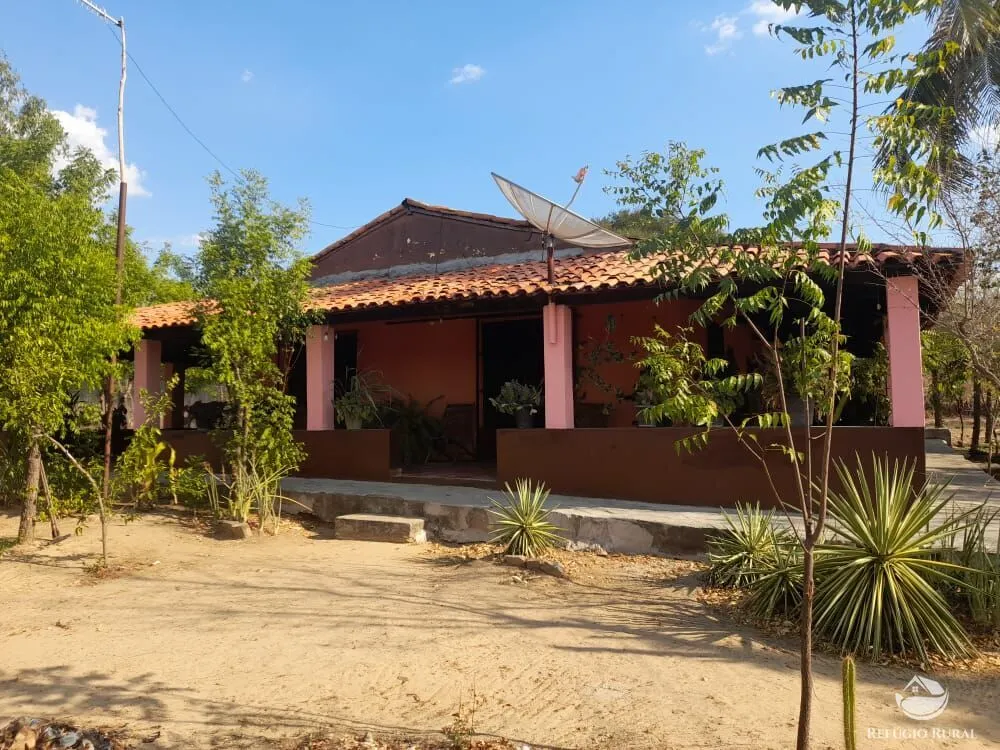 Sítio à venda de 70 ha em Floriano, PI, Brasil