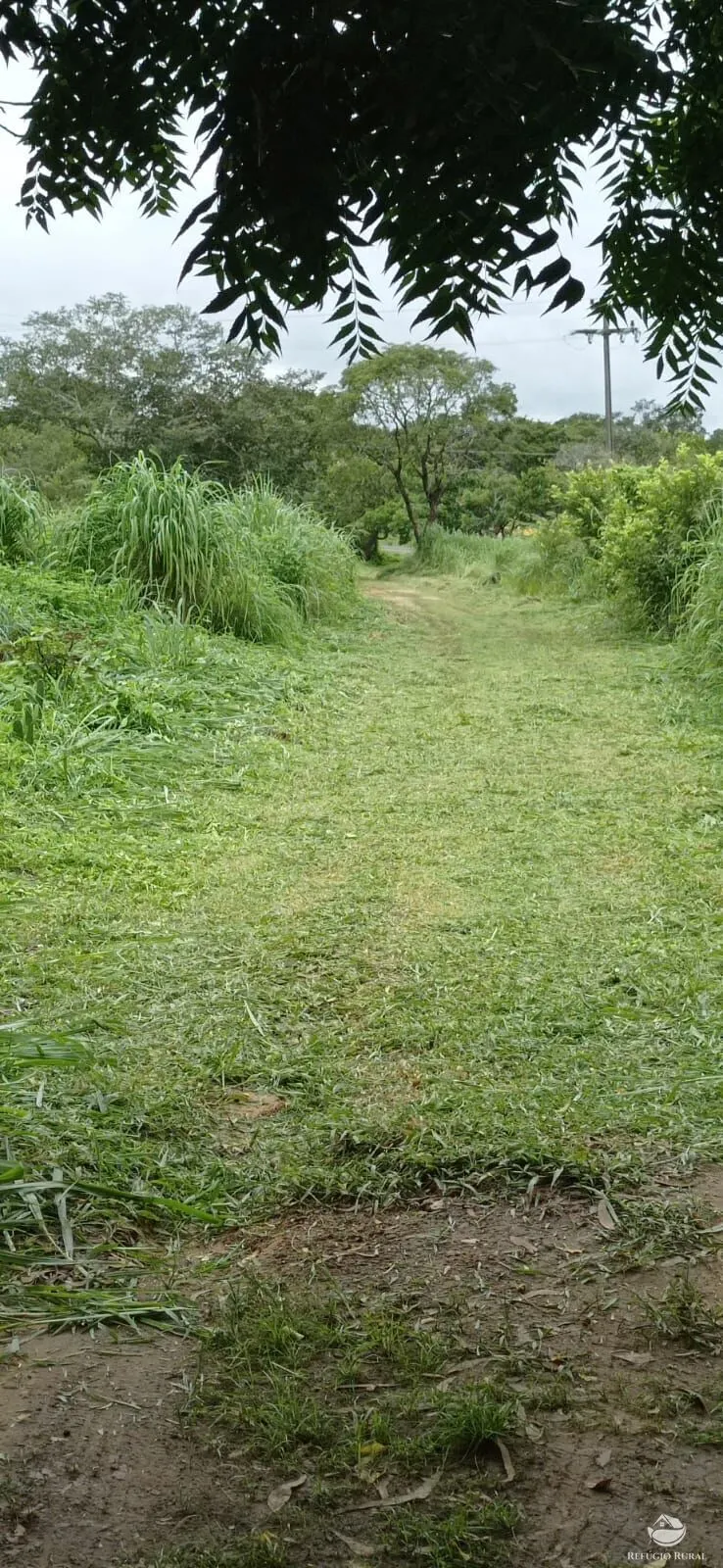 Sítio à venda de 70 ha em Floriano, PI, Brasil
