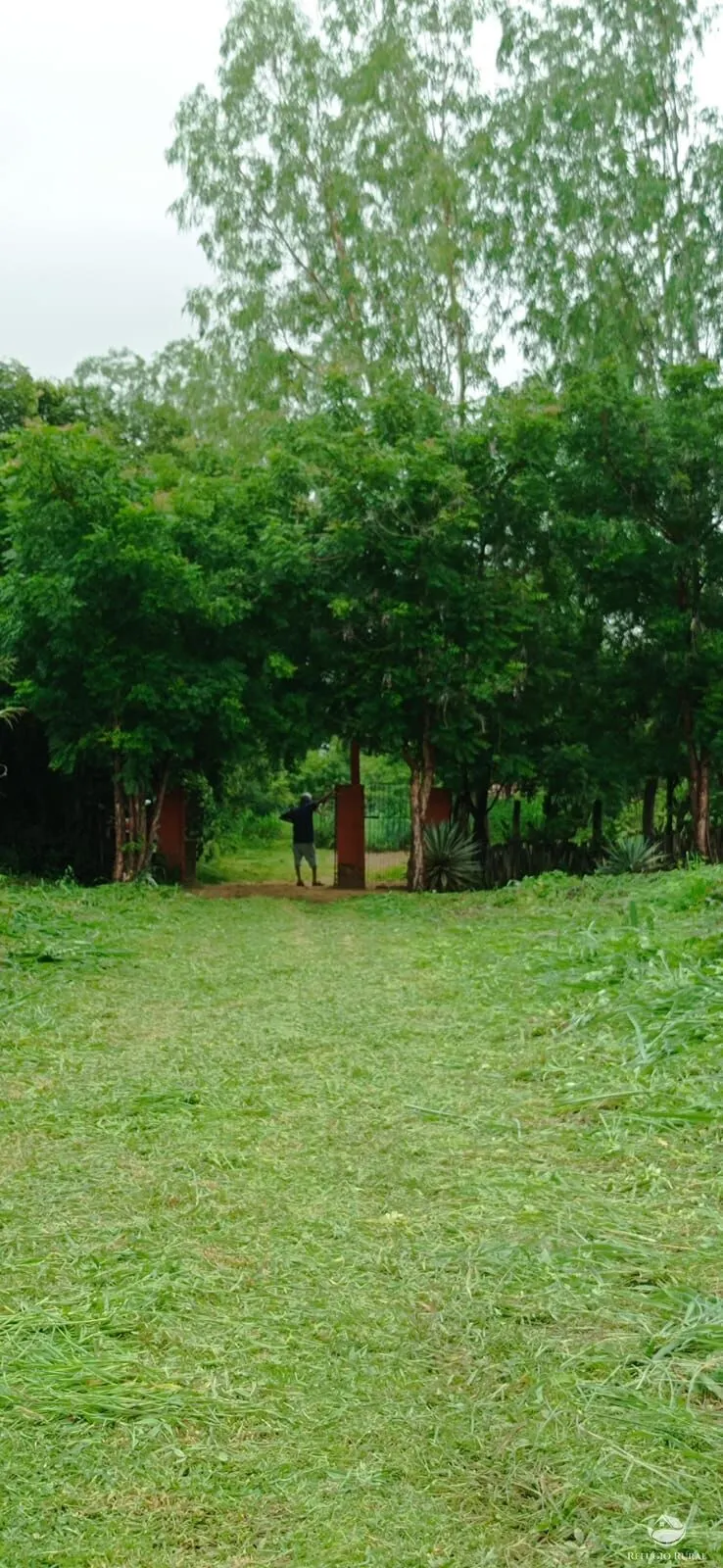 Sítio à venda de 70 ha em Floriano, PI, Brasil