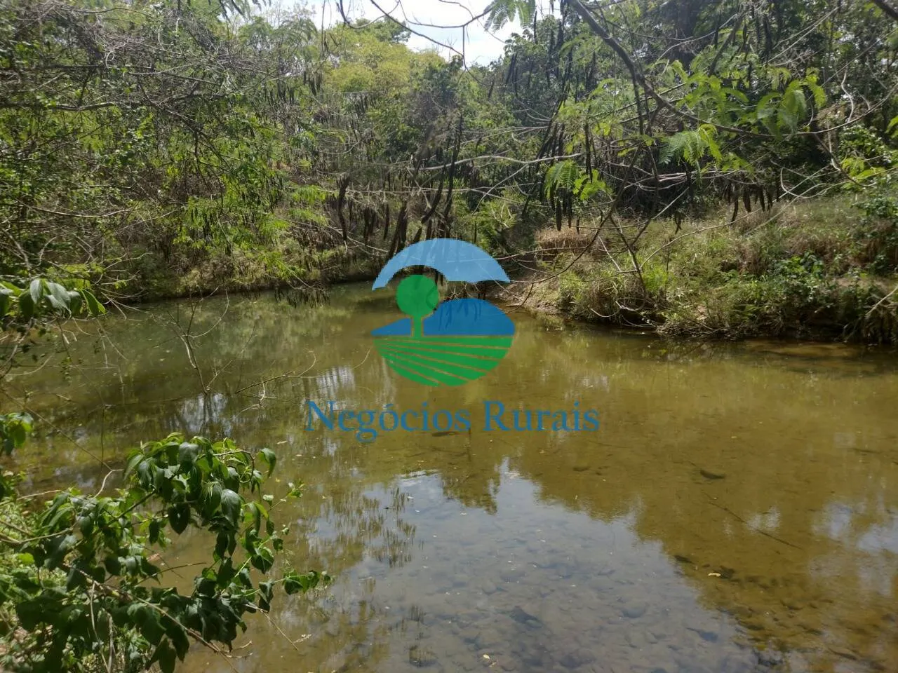Small farm for sale of 143 acres in Padre Bernardo, GO, Brazil