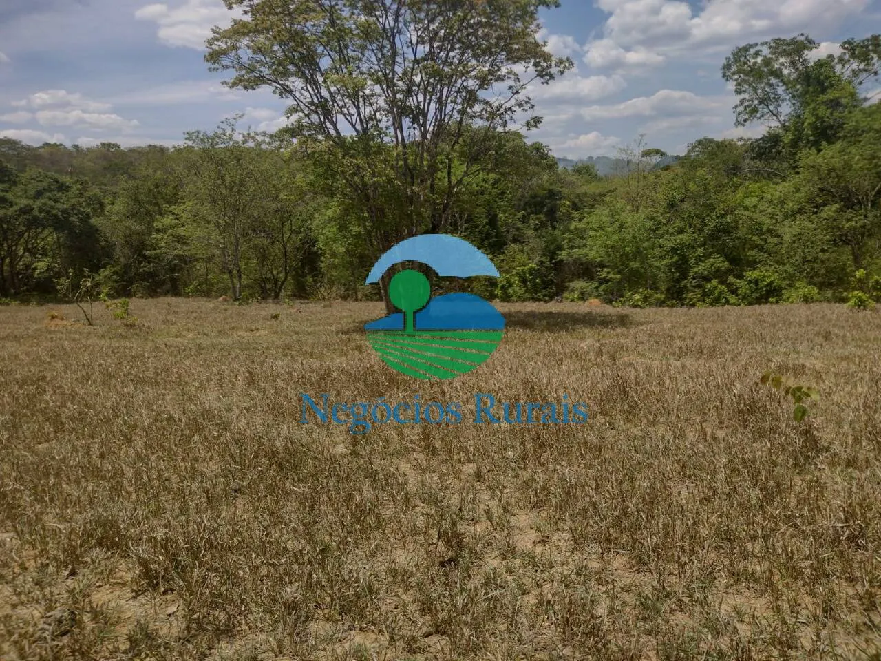 Small farm for sale of 143 acres in Padre Bernardo, GO, Brazil