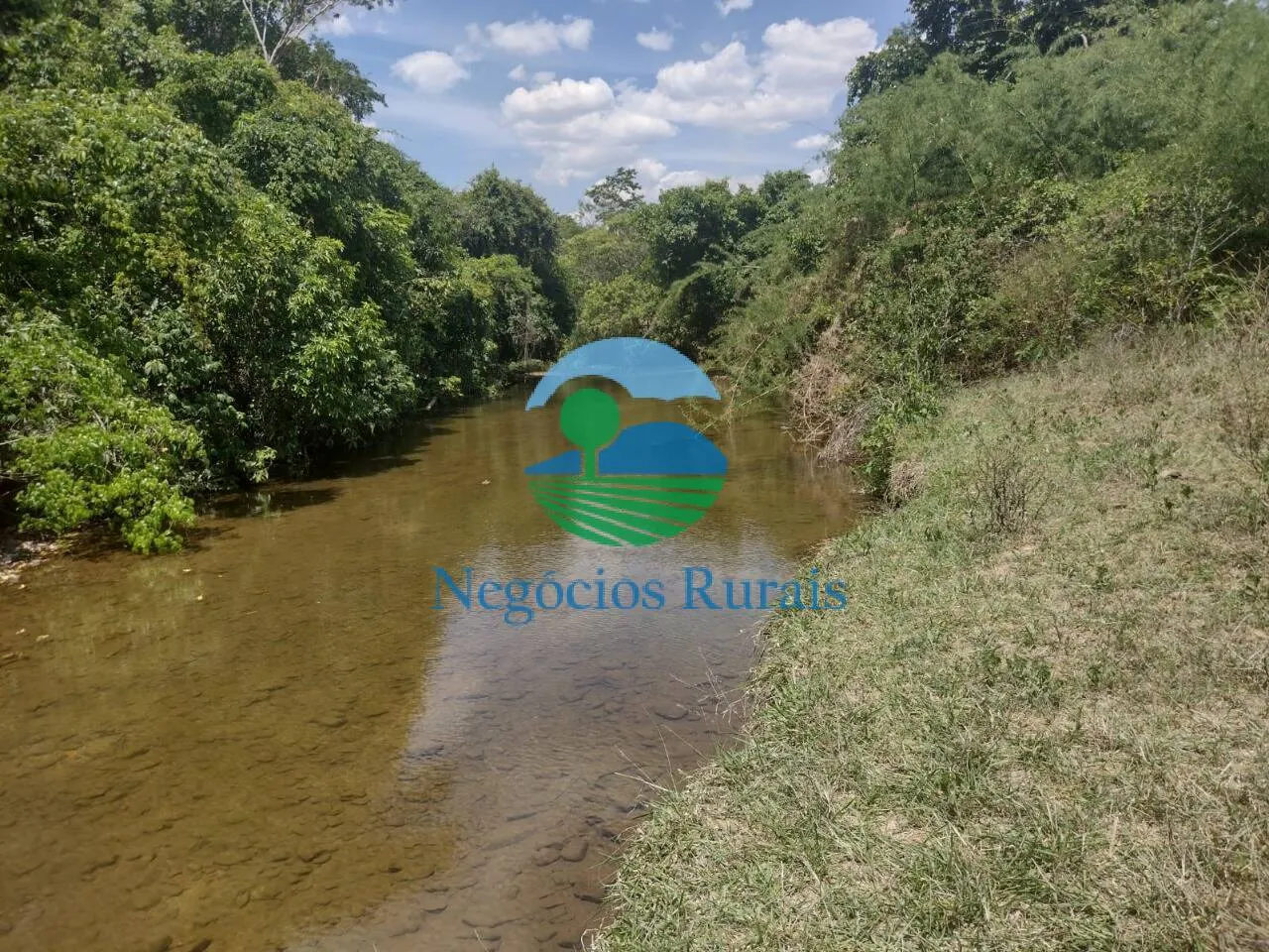 Small farm for sale of 143 acres in Padre Bernardo, GO, Brazil