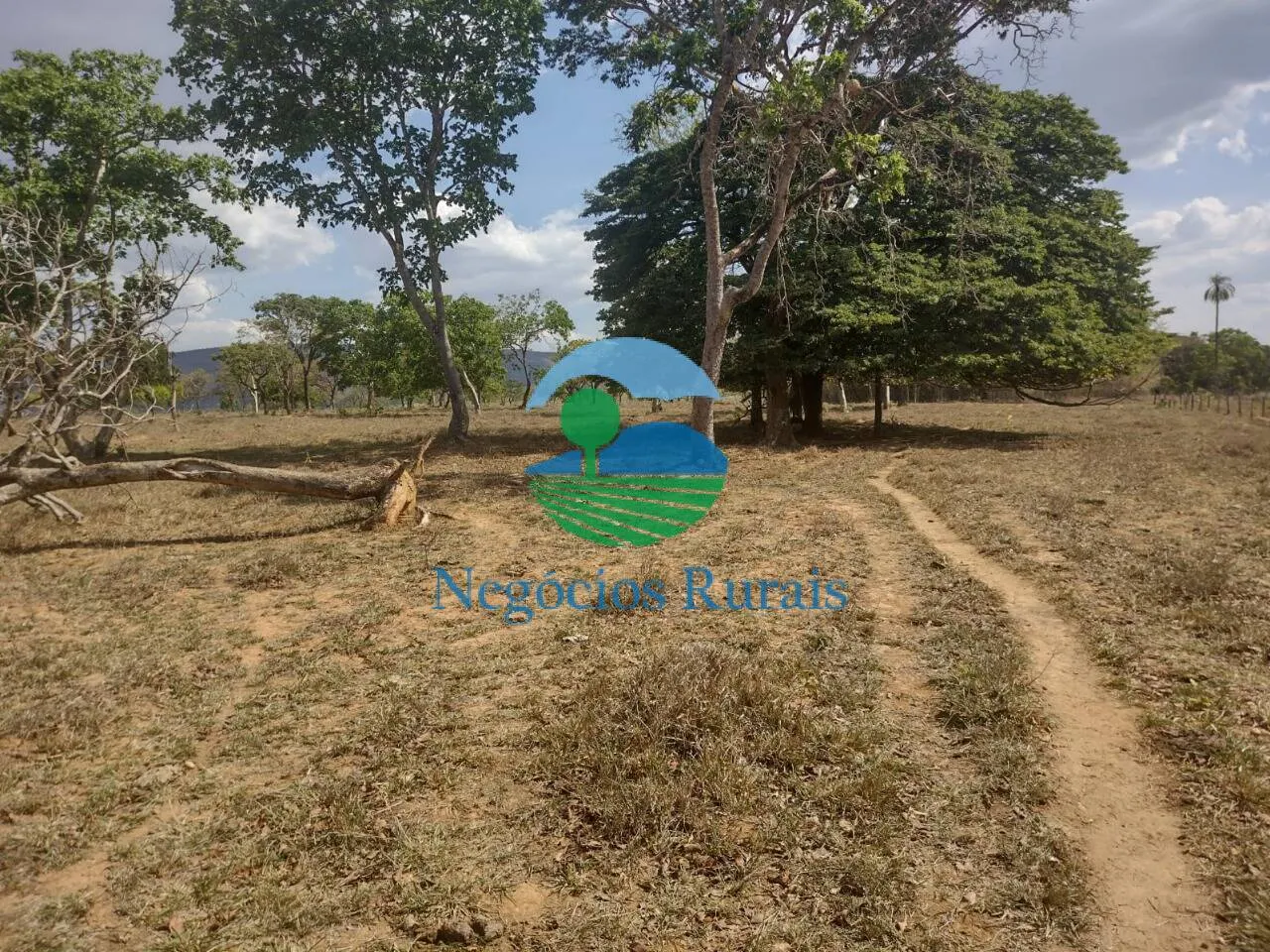 Small farm for sale of 143 acres in Padre Bernardo, GO, Brazil