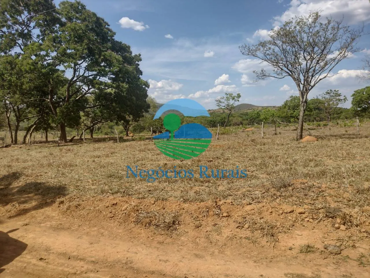 Sítio à venda de 58 ha em Padre Bernardo, GO, Brasil