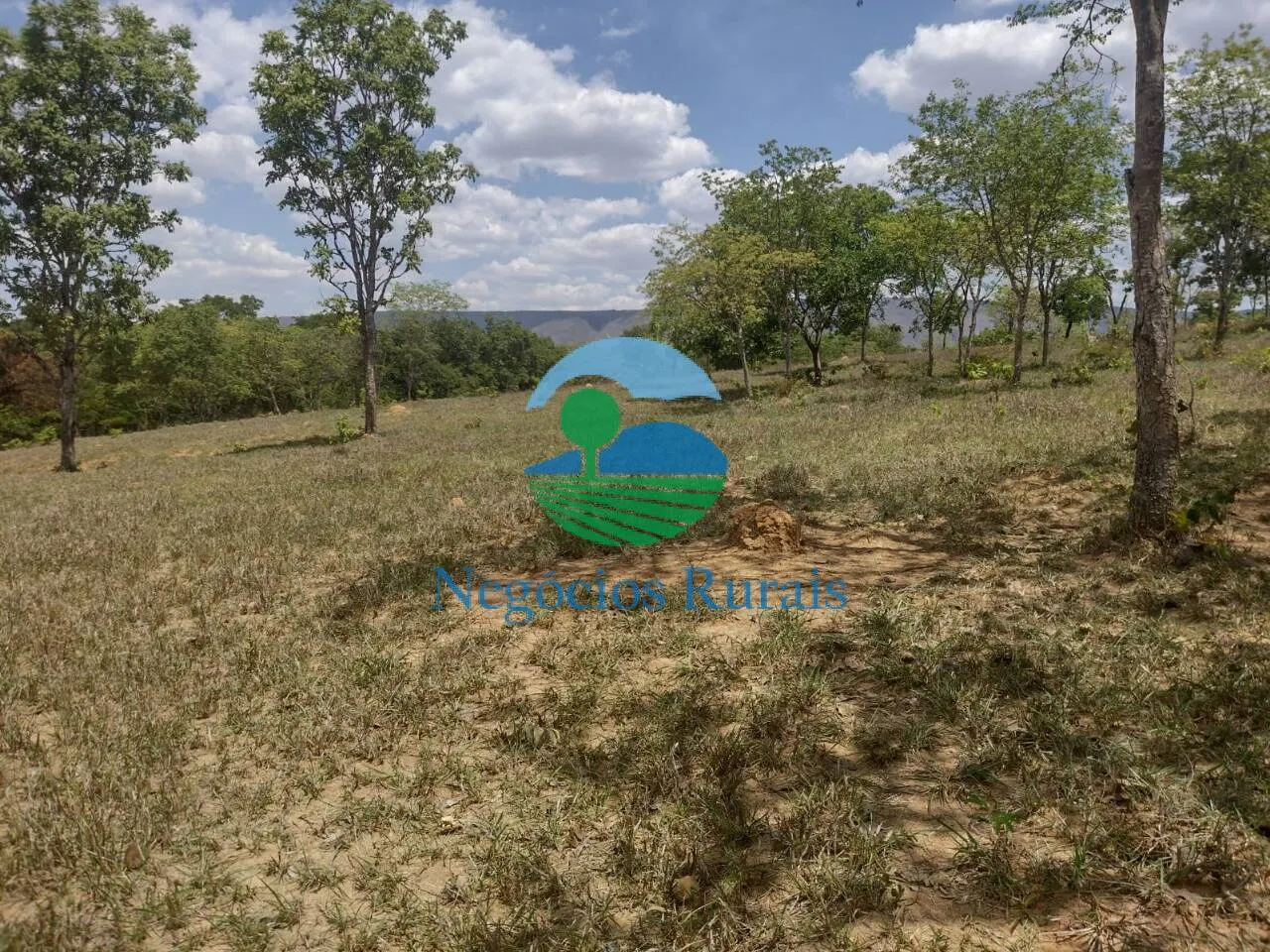 Small farm for sale of 143 acres in Padre Bernardo, GO, Brazil