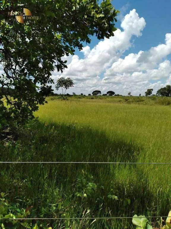 Fazenda à venda de 2.898 ha em Nossa Senhora do Livramento, MT, Brasil