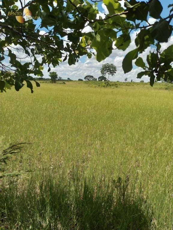 Fazenda à venda de 2.898 ha em Nossa Senhora do Livramento, MT, Brasil