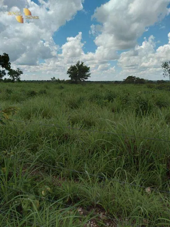 Fazenda à venda de 2.898 ha em Nossa Senhora do Livramento, MT, Brasil