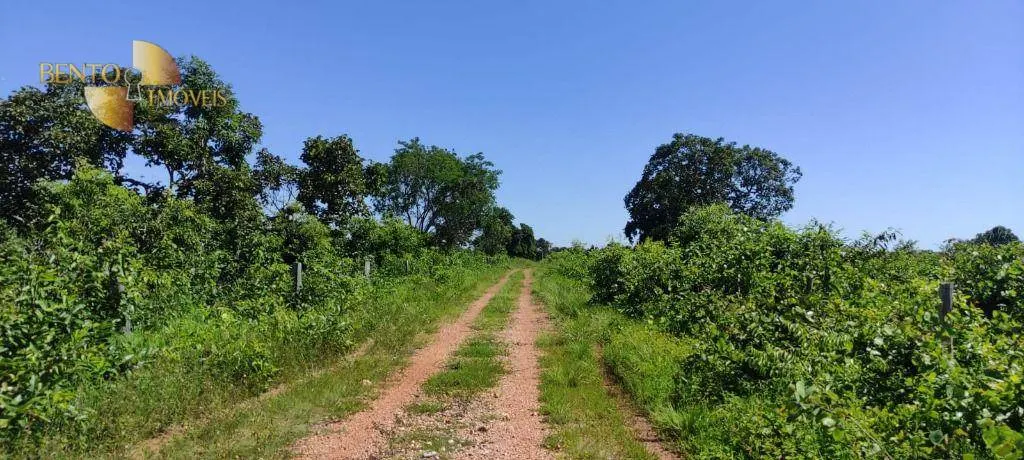 Fazenda à venda de 2.898 ha em Nossa Senhora do Livramento, MT, Brasil