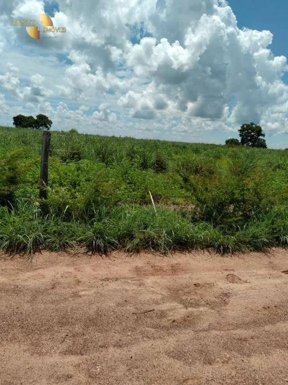 Fazenda à venda de 2.898 ha em Nossa Senhora do Livramento, MT, Brasil