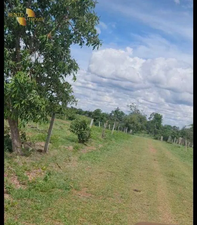 Fazenda à venda de 2.898 ha em Nossa Senhora do Livramento, MT, Brasil