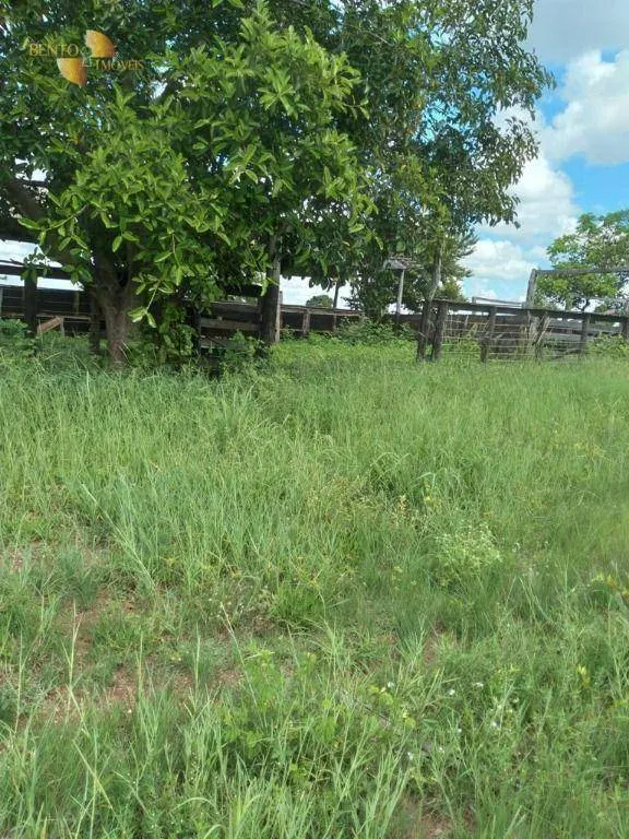 Fazenda à venda de 2.898 ha em Nossa Senhora do Livramento, MT, Brasil