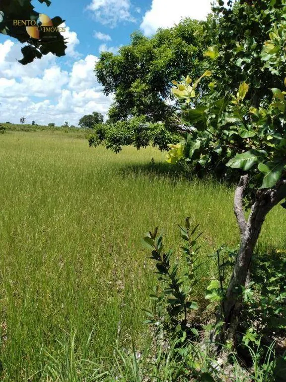 Fazenda à venda de 2.898 ha em Nossa Senhora do Livramento, MT, Brasil