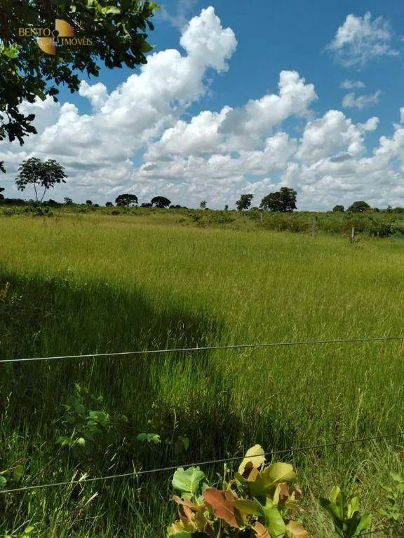 Fazenda à venda de 2.898 ha em Nossa Senhora do Livramento, MT, Brasil
