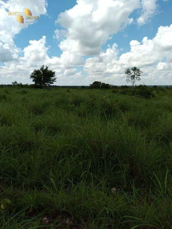 Fazenda à venda de 2.898 ha em Nossa Senhora do Livramento, MT, Brasil