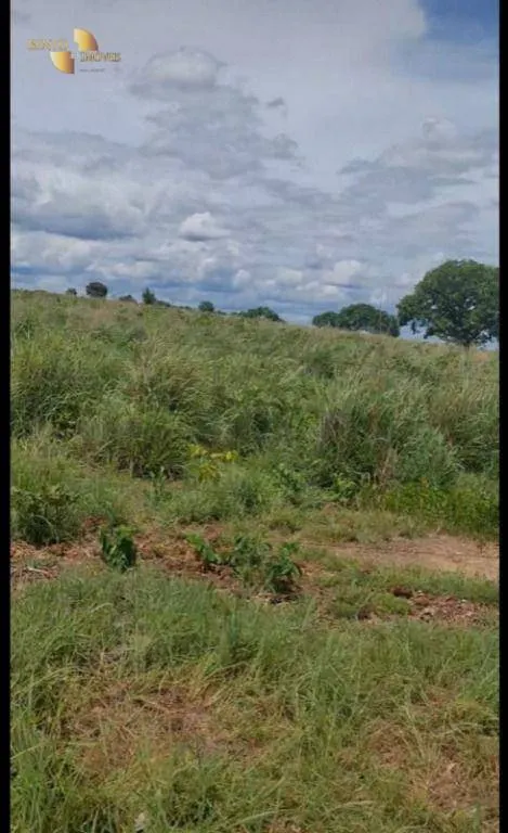 Fazenda à venda de 2.898 ha em Nossa Senhora do Livramento, MT, Brasil
