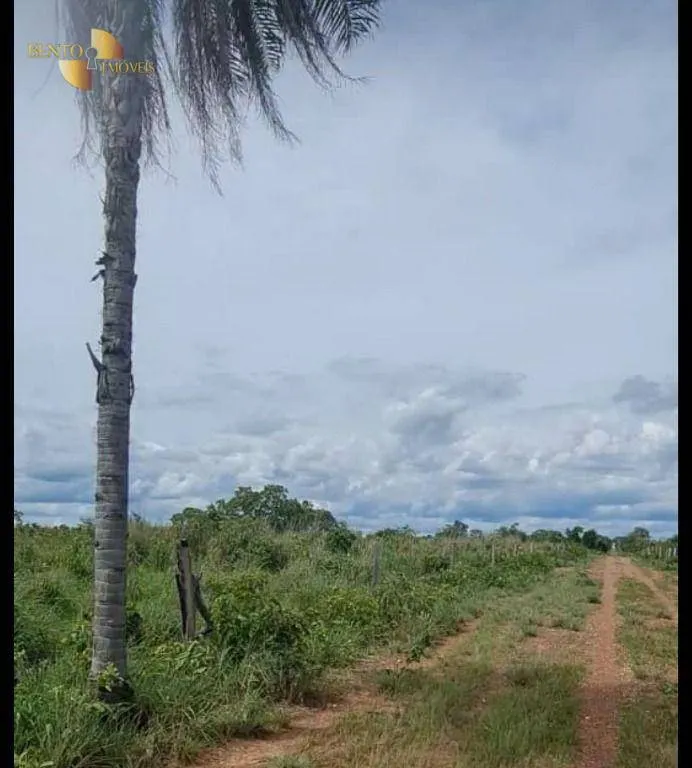 Fazenda à venda de 2.898 ha em Nossa Senhora do Livramento, MT, Brasil