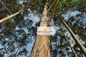 Fazenda à venda de 150 ha em São José dos Campos, SP, Brasil