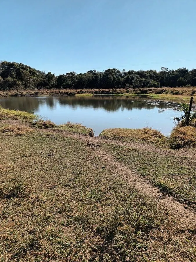 Fazenda à venda de 126 ha em Cássia dos Coqueiros, SP, Brasil