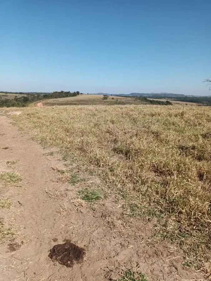 Fazenda à venda de 126 ha em Cássia dos Coqueiros, SP, Brasil