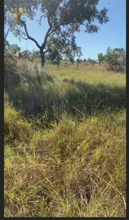 Fazenda à venda de 1.089 ha em Água Boa, MT, Brasil