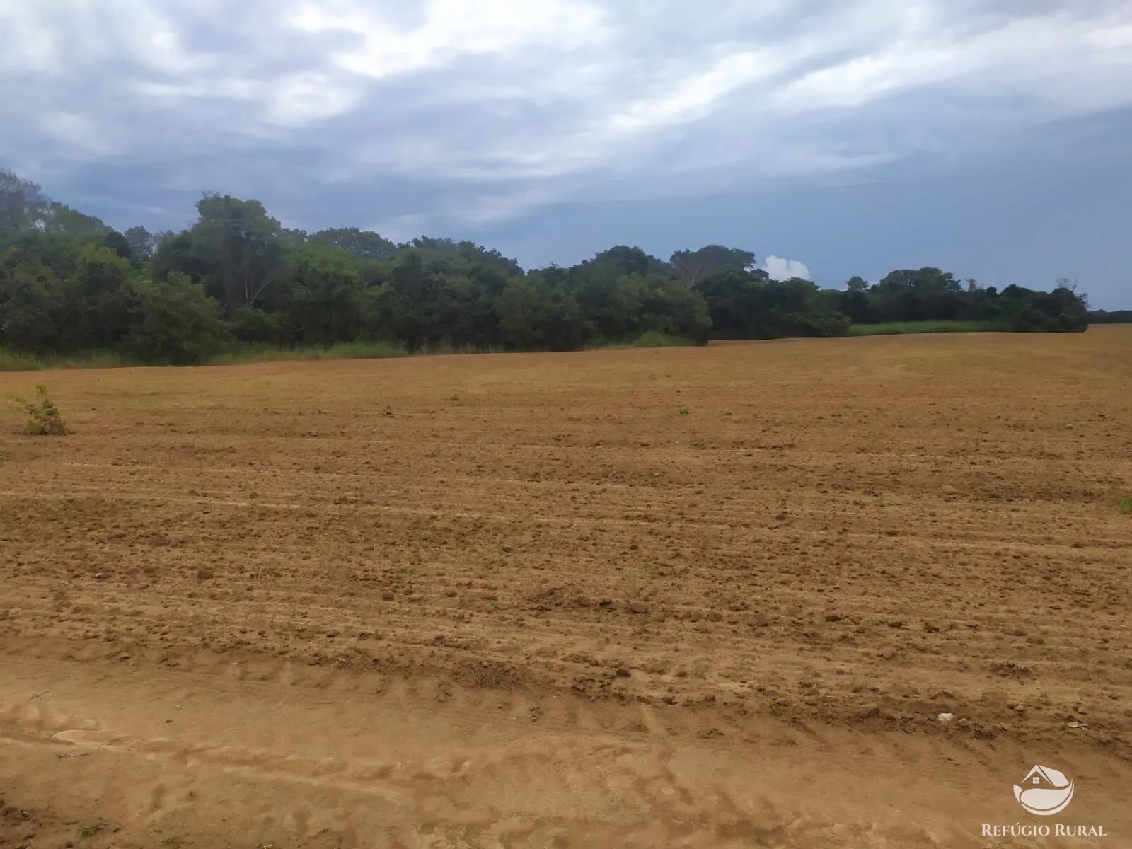 Fazenda à venda de 822 ha em Alvorada, TO, Brasil